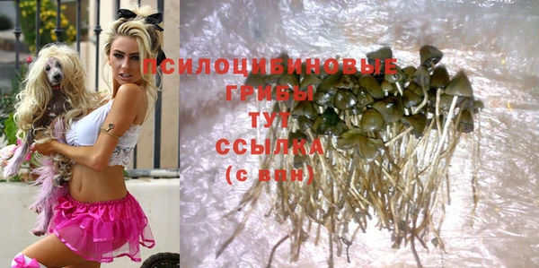 молекула духа Армянск