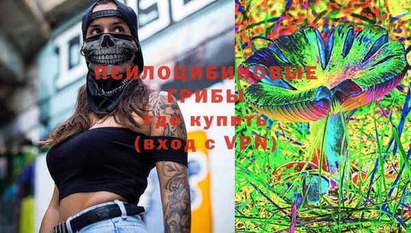 прущая мука Арсеньев