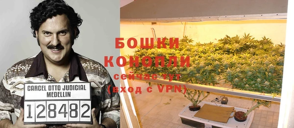 молекула духа Армянск